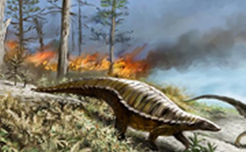 Dinosaurs in the tropics